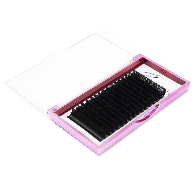 Factory Price High Quality Custom Package Korean Soft Individual Volume Eyelash Private Logo New Lounge 